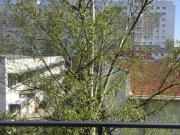 Kleine gemütliche 4 Raum Wohnung, Haus mit Aufzug,...