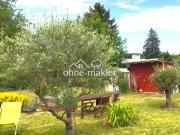 Kleine grüne Oase in der Stadt