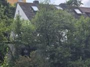 Kleiner versteckter Traum mit viel Grünfläche!...