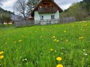 Kleines Bauernhaus mit Potential