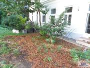 Kleines Haus mit viel Platz!