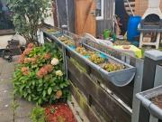 Kleingarten abzugeben