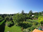 Kleingarten Doppelparzelle im Eigentum mit Altbestand...