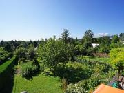 Kleingarten Doppelparzelle im Eigentum mit Altbestand...