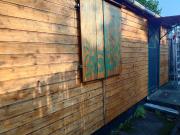 Kleingarten Dresden Löbtau ökologisch bewirtschaftet