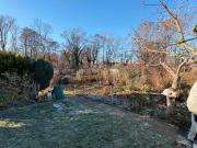 Kleingarten in Bad Düben abzugeben