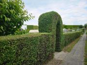 Kleingarten In Cotta