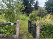 Kleingarten in Dresden Hellerau im KGV