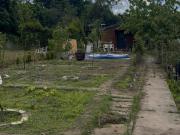 Kleingarten in Frankfurt Oder abzugeben