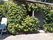 Kleingarten in Gartensparte in Radebeul Ost