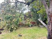 Kleingarten in Kreischa abzugeben