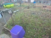 Kleingarten zur Pacht ab 2026