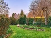 Kleingarten zur Pacht. Neue Gartenanlage in Planung:...
