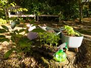 Kleingarten zur Pacht Neue Gartenanlage in Planung:...