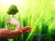 Kleingarten zur Pacht. Neue Gartenanlage in Planung:... Kleingarten zur Pacht. Neue Gartenanlage in Planung:...