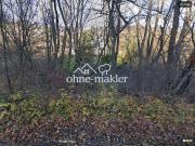 Klosterneuburg: 1500m² Wald Kritzendorf