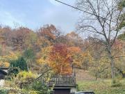 Klosterneuburg Nähe Wien: Grundstück mit Baubewilligung...