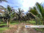 Kluang 7 Acres Land