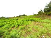 Knockrooskey, Westport, Co. Mayo Sherry Fitzgerald...