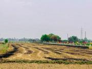 Knowledge Park 1000 Sq.Ft. Plot in Bihta Patna Listing...