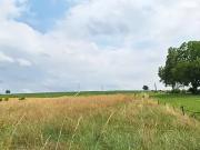 Koetzingue 68510 Programme neuf terrain neuf à vendre Koetzingue 68510 Programme neuf terrain neuf à vendre