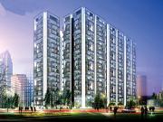 Kollur 2.5 BHK Apartment For Sale Hyderabad