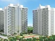 Nerhe 2 BHK Apartment For Sale Pune