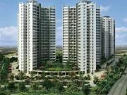 Hinjawadi Phase 2 2.5 BHK Apartment For Sale Pune