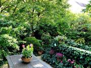 Kompakte 2 Zimmerwohnung im 1. Stock mit Garten &... Kompakte 2 Zimmerwohnung im 1. Stock mit Garten &...