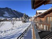 Komplett eingerichtete Ferienwohnungen mit 3 SZ...