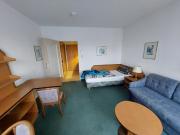 komplett möblierte helle 1 Zimmer Wohnung, Dresden Cotta