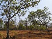 Konkan Nagar, Ratnagiri City 22026 Sq. Ft. Plot in...