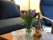 KOPIE VON 367426: Ferienwohnung Elbidyll in Magdeburg