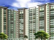 Koramangala 1 BHK Apartment For Sale Bangalore