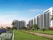 Koregaon Mul 1 BHK Apartment For Sale Pune