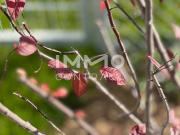 KREMSER WOHNDOMIZIL 2Zi 52qm Gartenwohnung, Lift,...