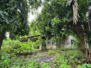 KSB: AYALA ALABANG VILLAGE 740SQM 94M