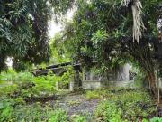 KSB: AYALA ALABANG VILLAGE 740SQM 94M