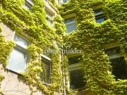 Ku'damm oder Grunewald? Beides! aber viel Platz, bitte Ku'damm oder Grunewald? Beides! aber viel Platz, bitte