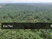 Kulai 3.5 to 5 acres Industrial Land
