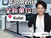 Kulai Sonatia Park New Unit For Rent
