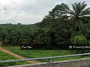 Kulaijaya Commercial Land