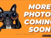 KWINANA TOWN CENTER 3X2 HOME FOR LEASE