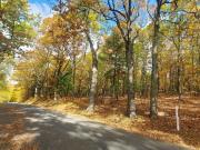 L Fischer Rd, Kinderhook, Plot For Sale