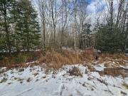 L Sacarap Road, Columbia, Plot For Sale