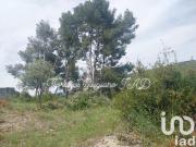 La Cadière d'Azur Vente Terrain 83
