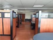 La Carolina, Oficina en renta, 50 m2, 5 ambientes, 1...