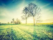 La Chapelle Blanche Saint Martin 37240 Programme neuf...