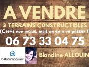 La Ferté Saint Cyr 41220 Achat / Vente terrain
