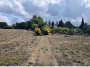 La Finca de los Sueños – Proyecto GARCIAGOS, 11.325 m²,...